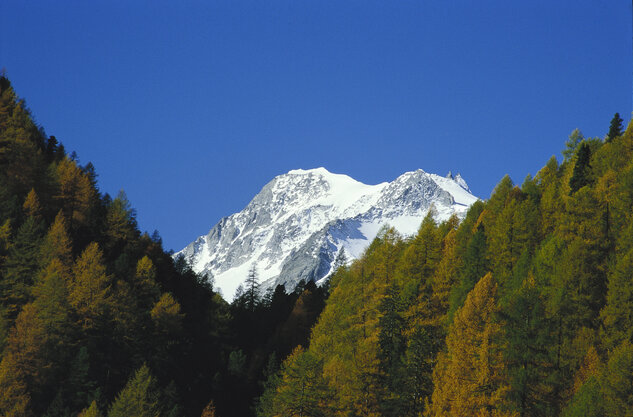 Hochgall in Tirol (c) Mauthner