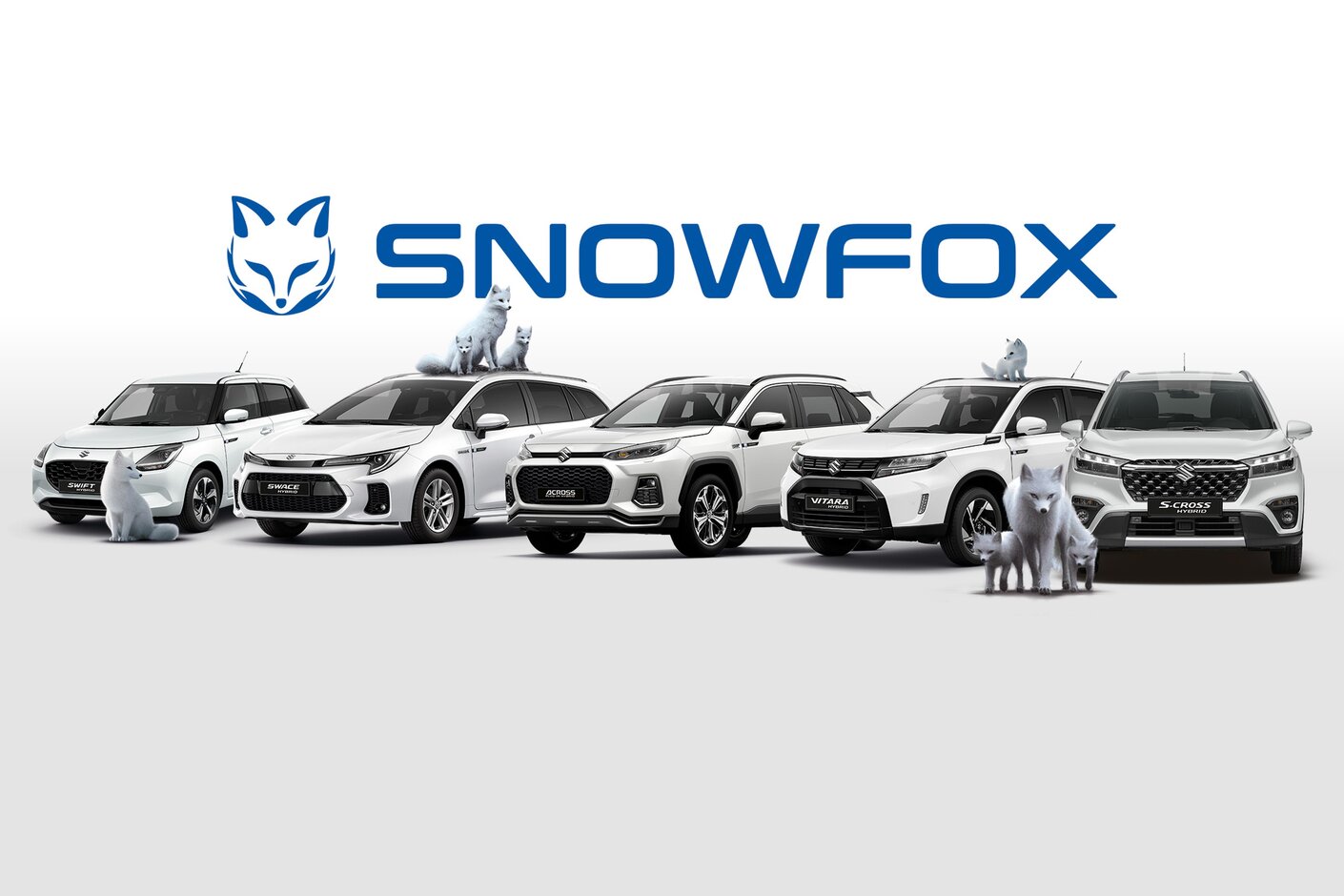 Sie sind zurück: Die exklusiven Suzuki Snowfox-Modelle inklusiver satter Kundenvorteile.